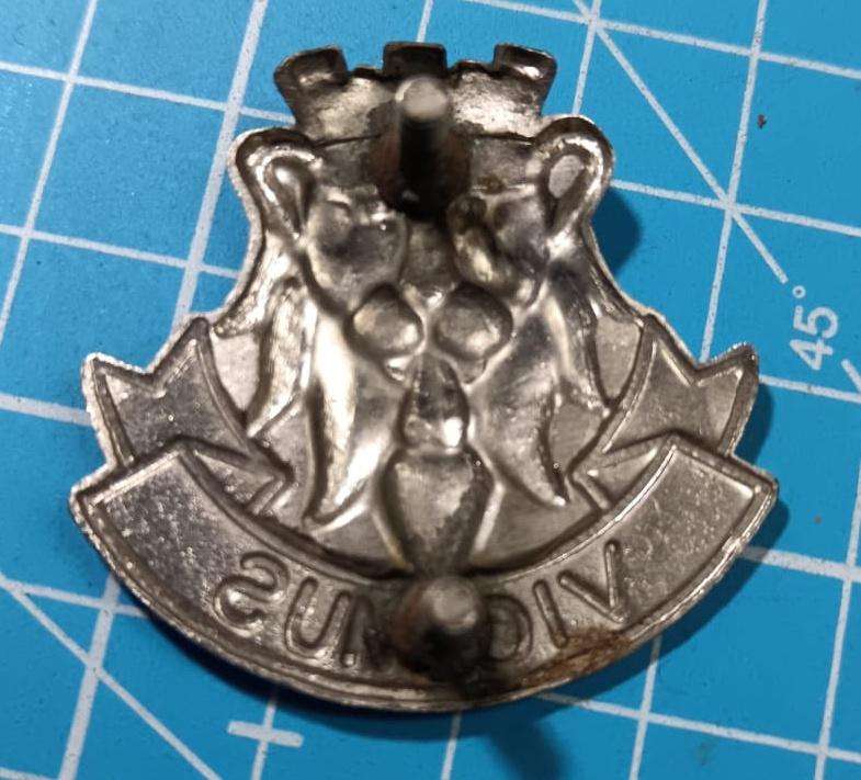 SADF - 2 SA Cape Corps Cap Badge