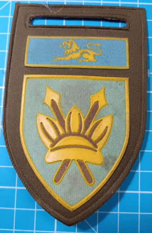 SADF - 111 Battalion Tupper Flash