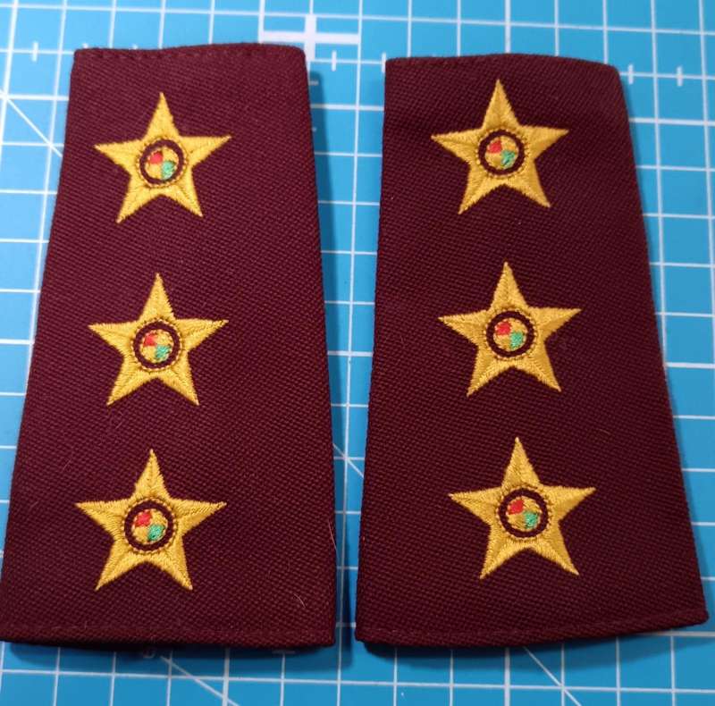 SADF - Medical Services Slip on Ranks