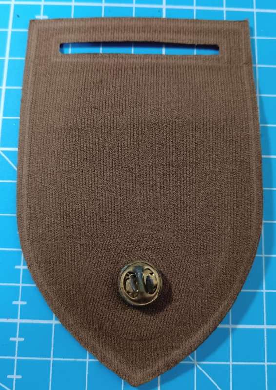 SADF - 1 Locating Regiment Tupper Flash