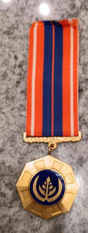 SADF - Full Size Pro Patria Medal ( Swivel - Low Number 2306 )