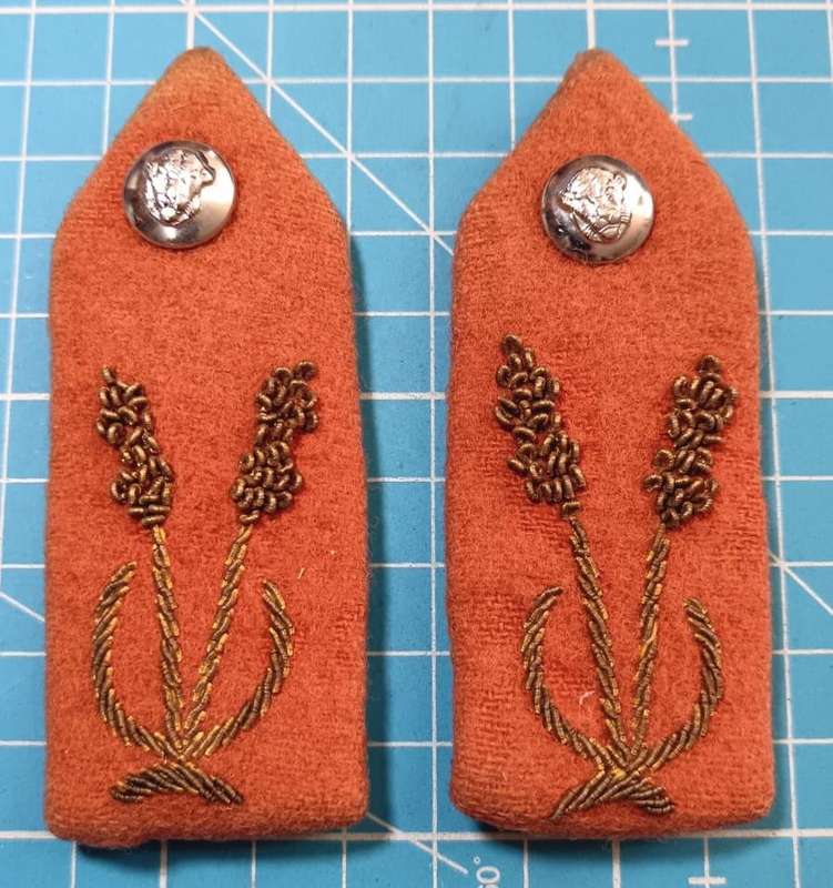 SADF -  Army Officers Gorget Pair