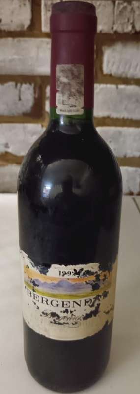 1992 Bergendal