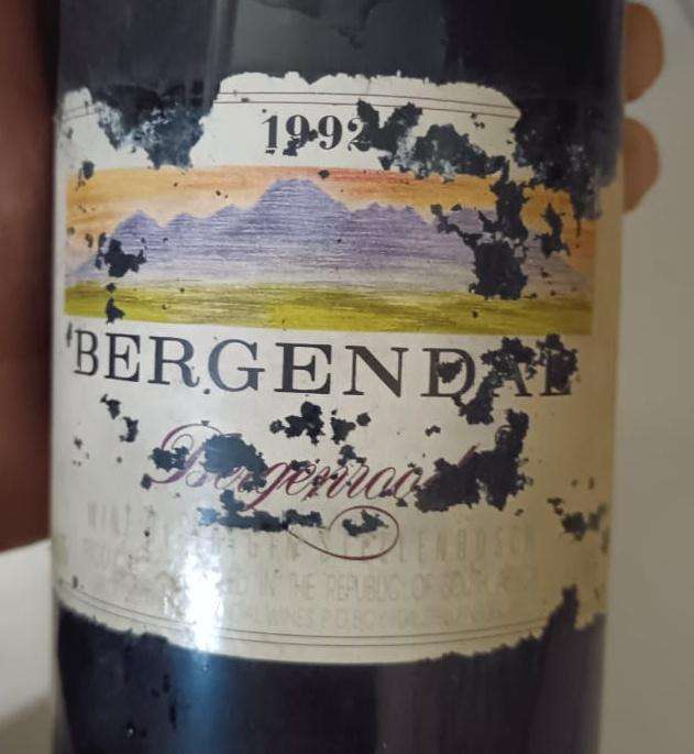 1992 Bergendal