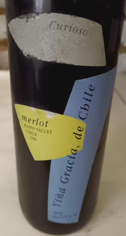 1996 Gracia Curioso Merlot