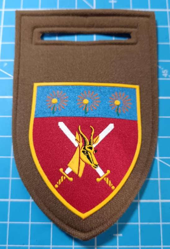 SADF - N/Transvaal Command Provost Tupper Flash