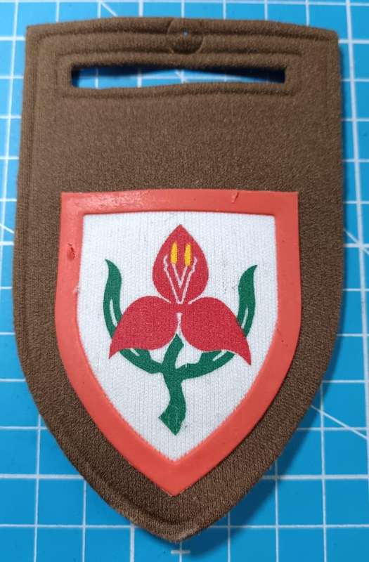 SADF - Military Academy Tupper Flash