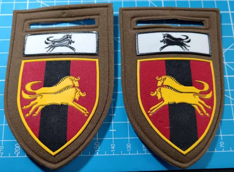 SADF - Natal Provost Tupper Flash Pair