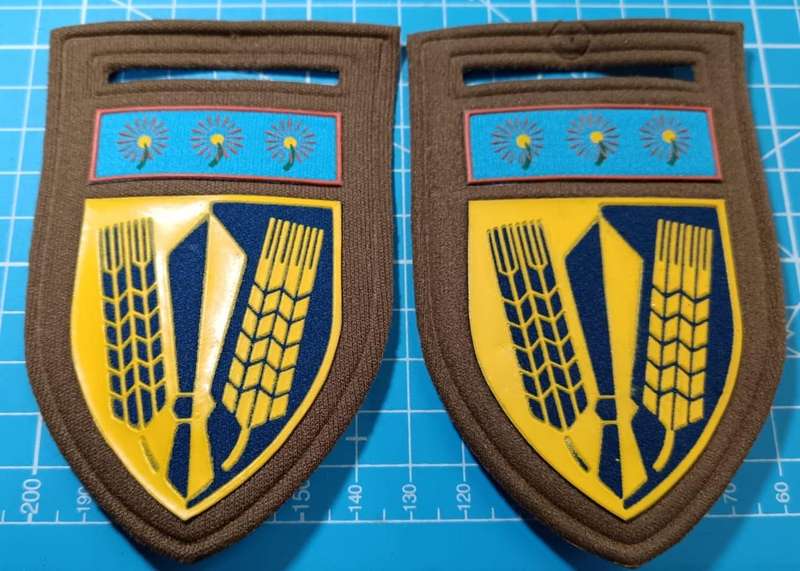 SADF - Catering Corps Tupper Flash Pair