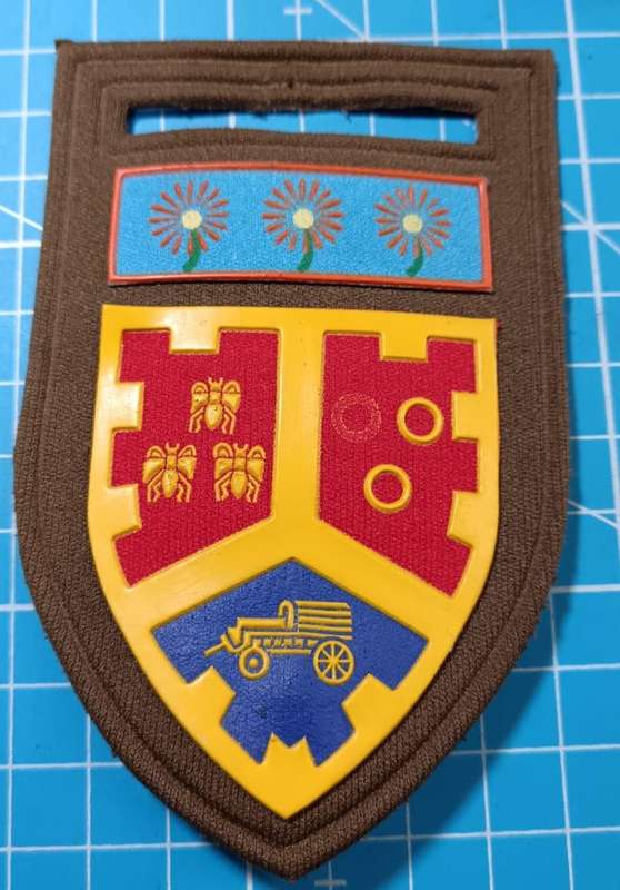 SADF - Regiment University of Pretoria  Tupper Flash
