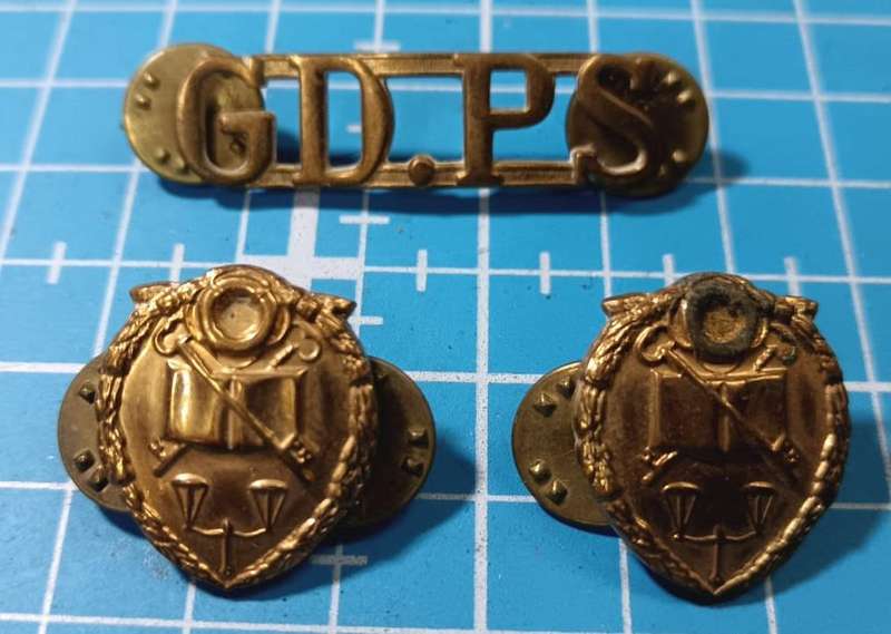 South African Prison Service Collars and Title Badge