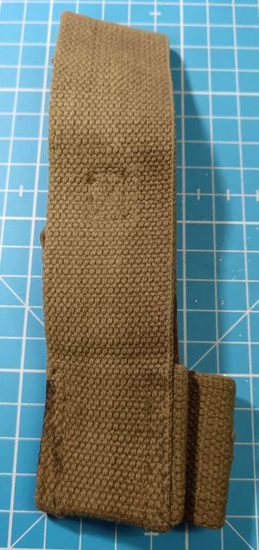 SADF - Webbing Frog