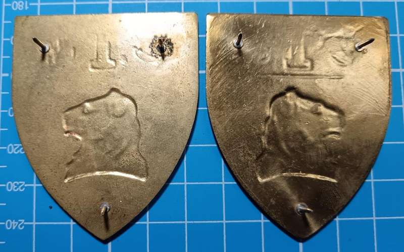 SADF - 1 Regiment De La Rey Shoulder Flash Pair