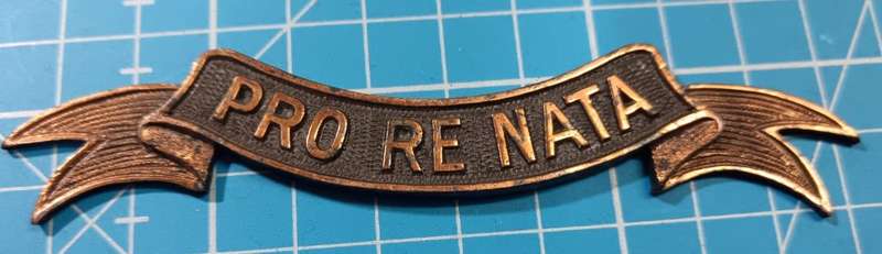 SADF - "Pro Re Nata" Plaque Scroll