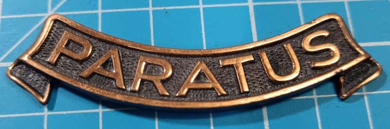 SADF - "Paratus" Plaque Scroll