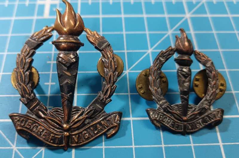 SADF - Regiment Schoonspruit Cap and Collar ( Incomplete )