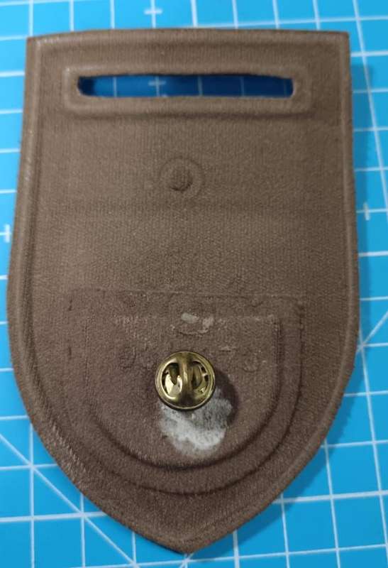 SADF - 1 SA Infantry Tupper Flash