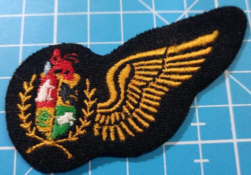 SADF - Air Force Navigator Wing