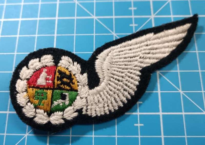 SADF - Air Force Navigator Wing