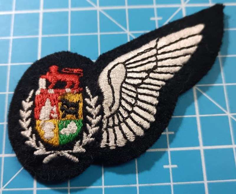 SADF - Air Force Navigator Wing