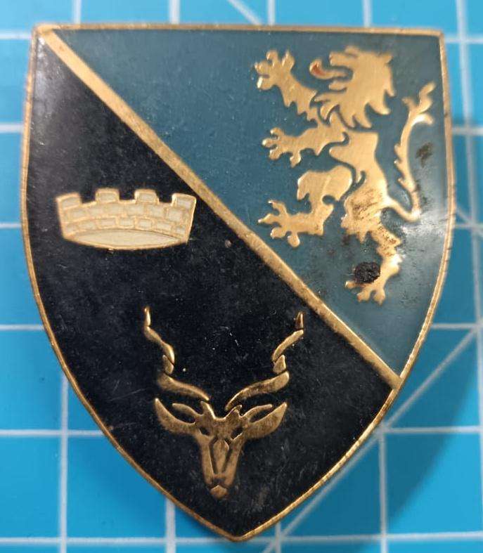 SADF - SWA 91 Armoured Car Regiment Pocket Flash