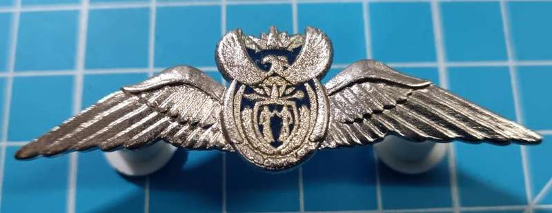SANDF - Air Force Silver Pilot Wing