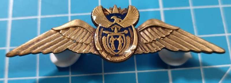 SANDF - Air Force Bronze Pilot Wing