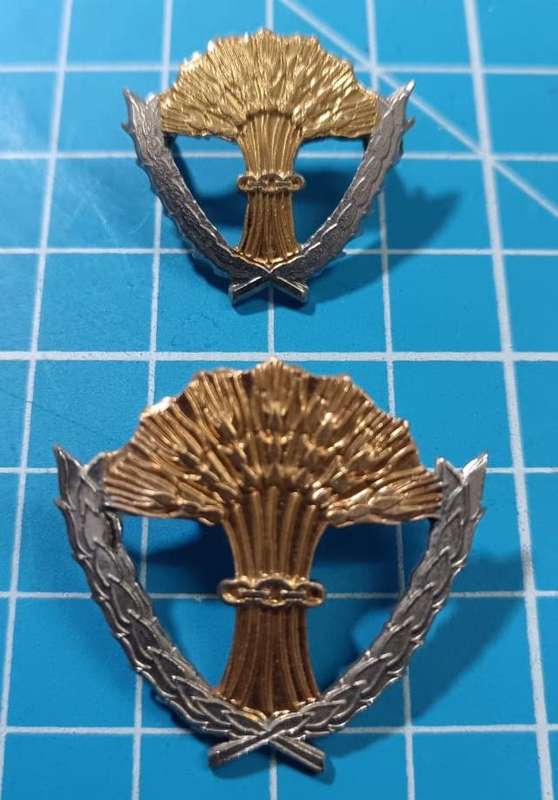 SADF -SAAF Caterer Breast Badges - Full Size and Mess Dress