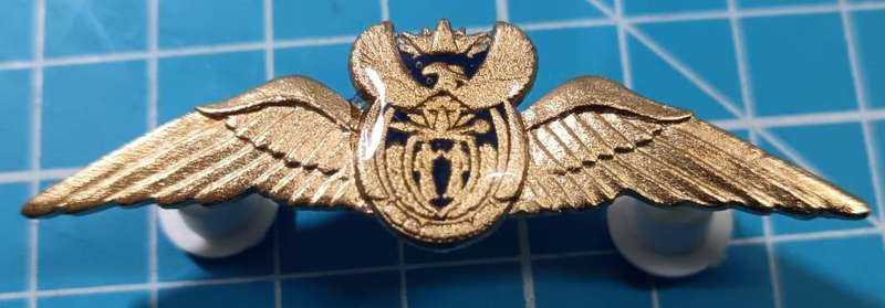 SANDF - Air Force Gold Pilot Wing