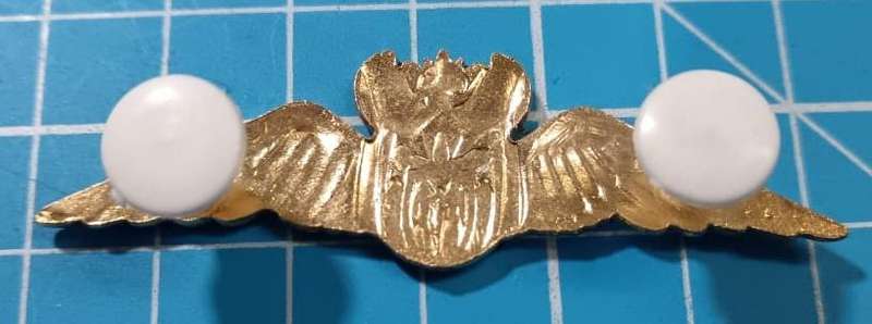 SANDF - Air Force Gold Pilot Wing