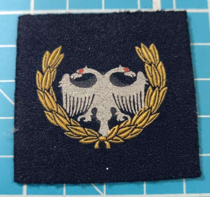 SADF - Air Force Protection Breast Badge
