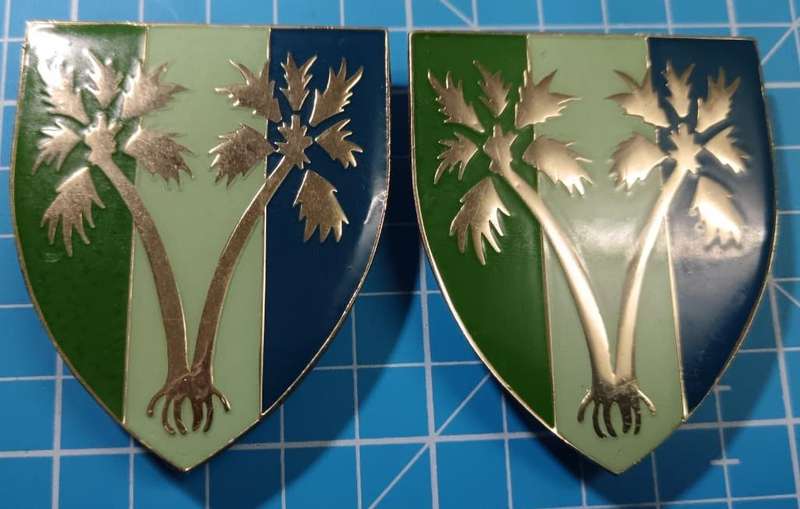 SADF - 6 Signal Unit Shoulder Flash Pair