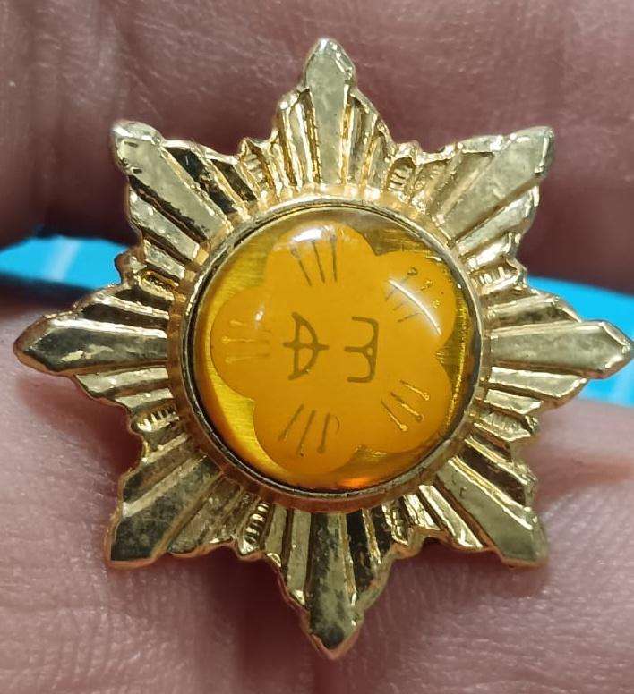 Unknown Pin Badge