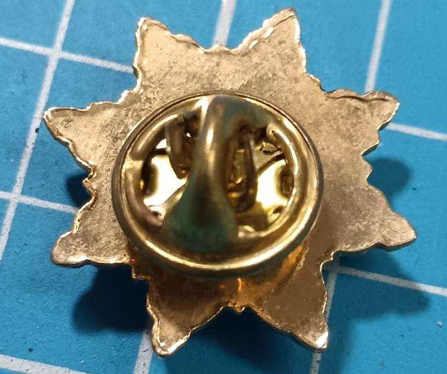 Unknown Pin Badge