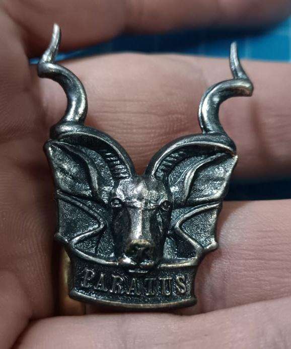 SADF - South West Africa Territorial Forces ( SWATF ) - Area Force Cap Badge