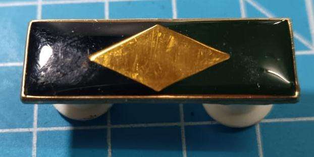 SADF - South West Africa Territorial Forces ( SWATF ) - Beret Bar