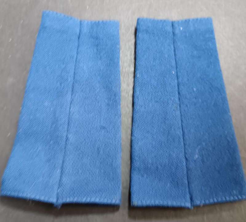 SAP Slip  on Ranks