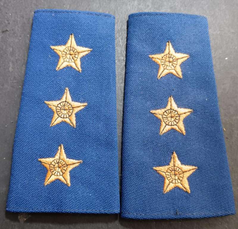SAP Slip  on Ranks