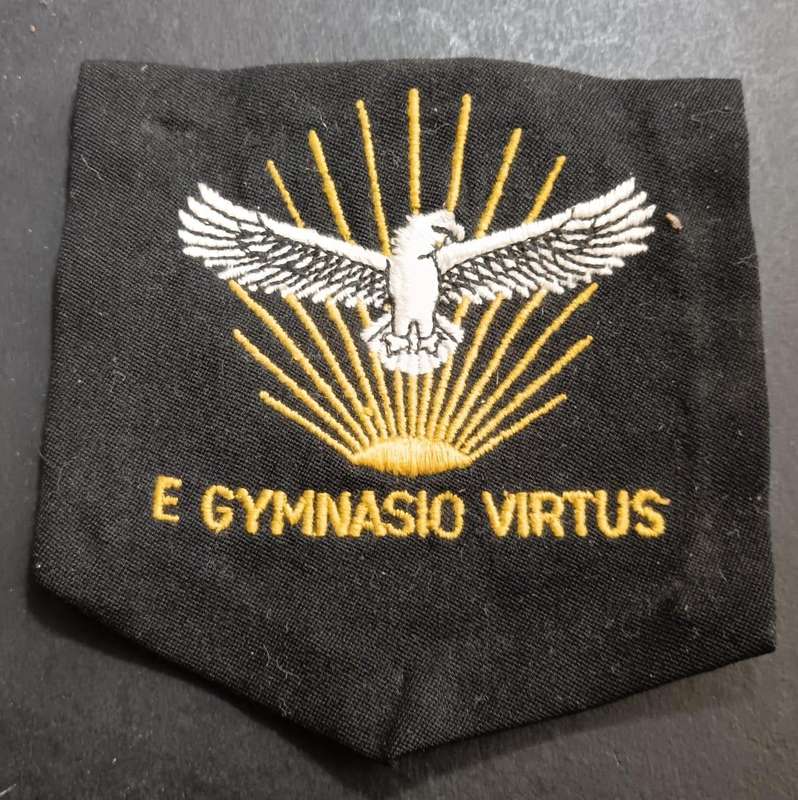 SADF - Air Force Gymnasium Blazer Badge