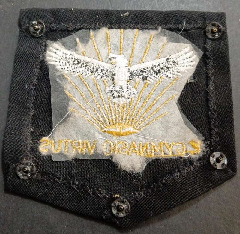 SADF - Air Force Gymnasium Blazer Badge