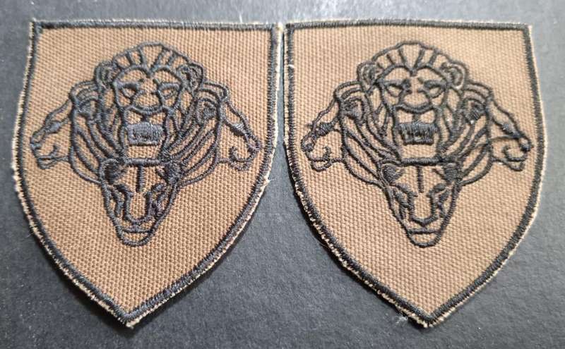 SANDF - Shoulder Flashes