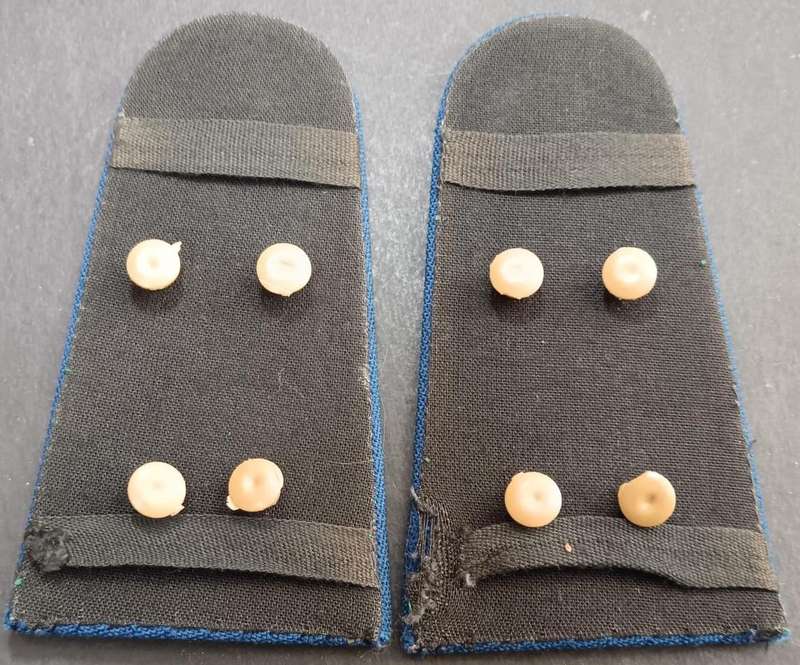 SAP Slip  on Ranks