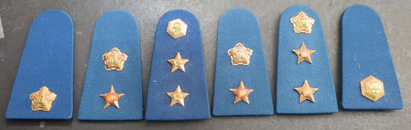 SAP Rank Board Lot
