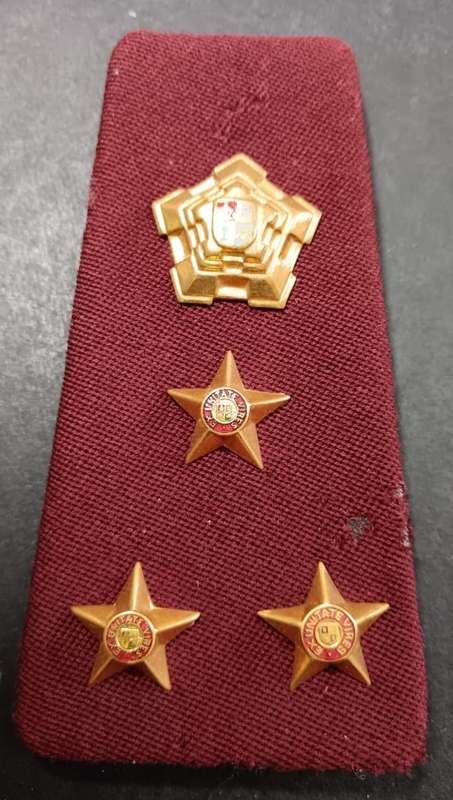 SADF - Medical Services Rank Board