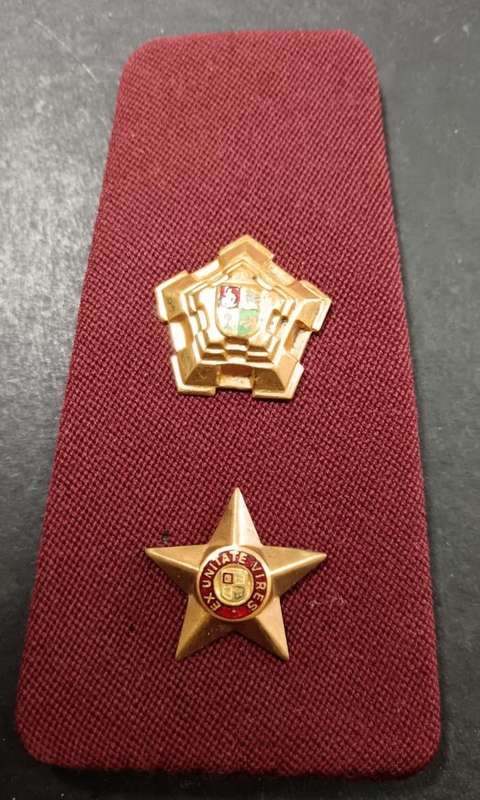 SADF - Medical Services Rank Board