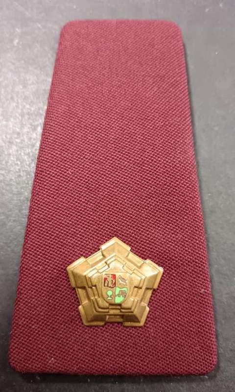 SADF - Medical Services Rank Board