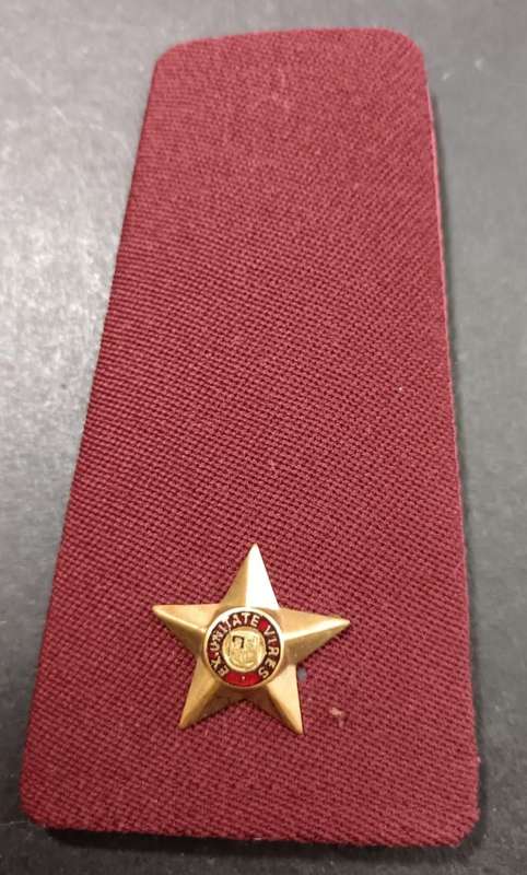 SADF - Medical Services Rank Board