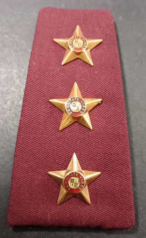 SADF - Medical Services Rank Board