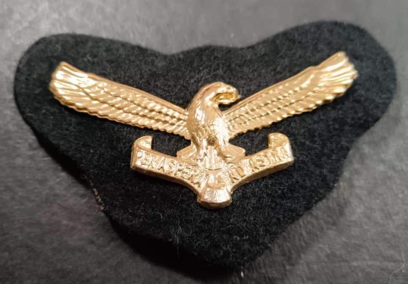 SADF - Air Force Officers Cap Badge