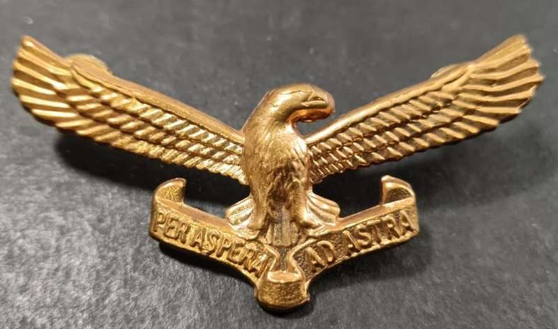 SADF - Air Force Cap Badge